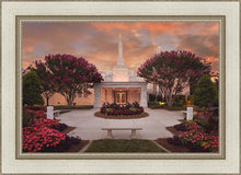 Load image into Gallery viewer, Raleigh Splendor