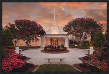 Load image into Gallery viewer, Raleigh Splendor