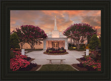 Load image into Gallery viewer, Raleigh Splendor