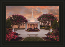 Load image into Gallery viewer, Raleigh Splendor
