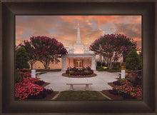 Load image into Gallery viewer, Raleigh Splendor