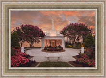Load image into Gallery viewer, Raleigh Splendor