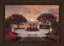 Load image into Gallery viewer, Raleigh Splendor