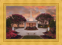 Load image into Gallery viewer, Raleigh Splendor