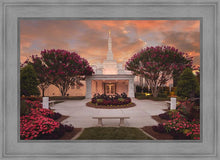 Load image into Gallery viewer, Raleigh Splendor