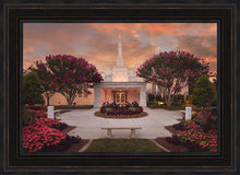 Load image into Gallery viewer, Raleigh Splendor