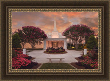 Load image into Gallery viewer, Raleigh Splendor
