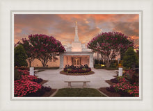 Load image into Gallery viewer, Raleigh Splendor