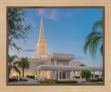 Load image into Gallery viewer, Orlando 02