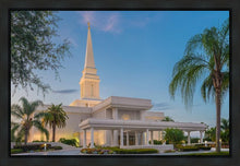 Load image into Gallery viewer, Orlando 02