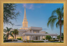 Load image into Gallery viewer, Orlando 02