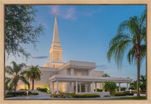 Load image into Gallery viewer, Orlando 02