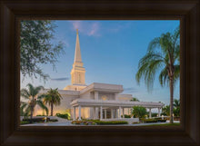 Load image into Gallery viewer, Orlando 02