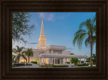 Load image into Gallery viewer, Orlando 02