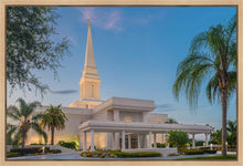 Load image into Gallery viewer, Orlando 02