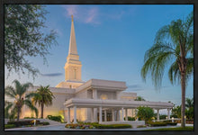 Load image into Gallery viewer, Orlando 02