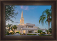 Load image into Gallery viewer, Orlando 02