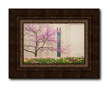 Load image into Gallery viewer, Jordan River Awakening