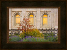 Load image into Gallery viewer, Salt Lake Autumn Detail