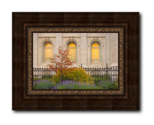 Load image into Gallery viewer, Salt Lake Autumn Detail