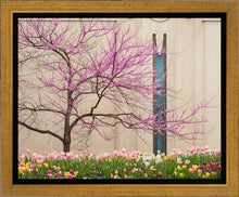 Load image into Gallery viewer, Jordan River Awakening
