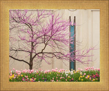 Load image into Gallery viewer, Jordan River Awakening