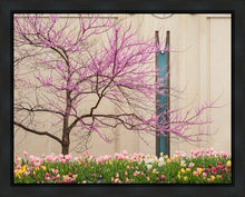 Load image into Gallery viewer, Jordan River Awakening