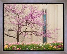 Load image into Gallery viewer, Jordan River Awakening