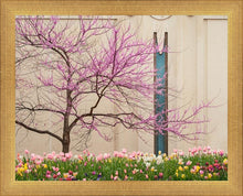 Load image into Gallery viewer, Jordan River Awakening