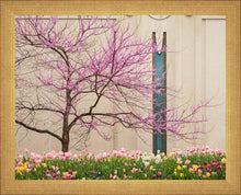Load image into Gallery viewer, Jordan River Awakening