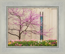 Load image into Gallery viewer, Jordan River Awakening