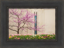 Load image into Gallery viewer, Jordan River Awakening