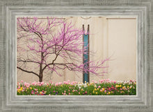 Load image into Gallery viewer, Jordan River Awakening