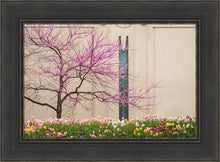 Load image into Gallery viewer, Jordan River Awakening