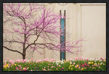 Load image into Gallery viewer, Jordan River Awakening