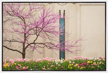 Load image into Gallery viewer, Jordan River Awakening
