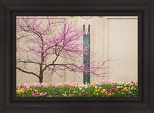 Load image into Gallery viewer, Jordan River Awakening