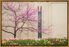 Load image into Gallery viewer, Jordan River Awakening