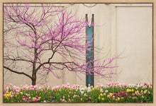Load image into Gallery viewer, Jordan River Awakening
