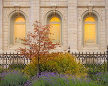 Load image into Gallery viewer, Salt Lake Autumn Detail