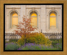 Load image into Gallery viewer, Salt Lake Autumn Detail