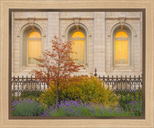 Load image into Gallery viewer, Salt Lake Autumn Detail