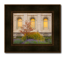 Load image into Gallery viewer, Salt Lake Autumn Detail