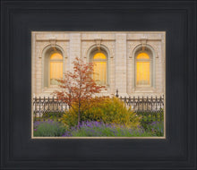 Load image into Gallery viewer, Salt Lake Autumn Detail