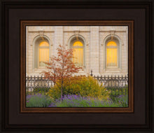 Load image into Gallery viewer, Salt Lake Autumn Detail
