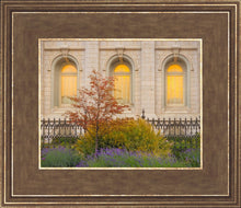 Load image into Gallery viewer, Salt Lake Autumn Detail