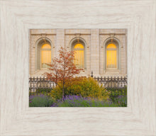 Load image into Gallery viewer, Salt Lake Autumn Detail