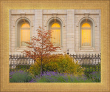 Load image into Gallery viewer, Salt Lake Autumn Detail