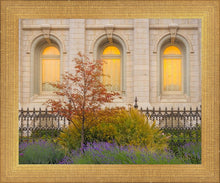 Load image into Gallery viewer, Salt Lake Autumn Detail
