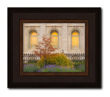 Load image into Gallery viewer, Salt Lake Autumn Detail